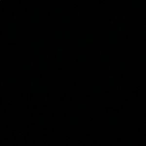 Meet your Posher, Sachey